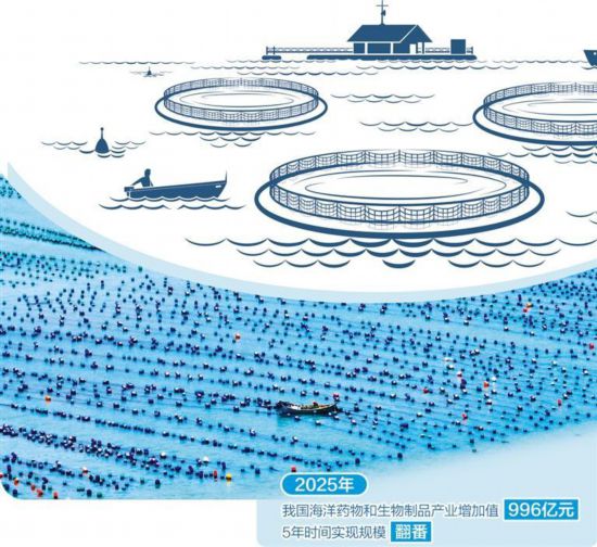 图为福建福州连江县定海湾海产品养殖区。 新华社记者 林善传摄